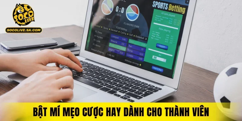 Bật mí mẹo cược hay dành cho thành viên giúp thắng cao