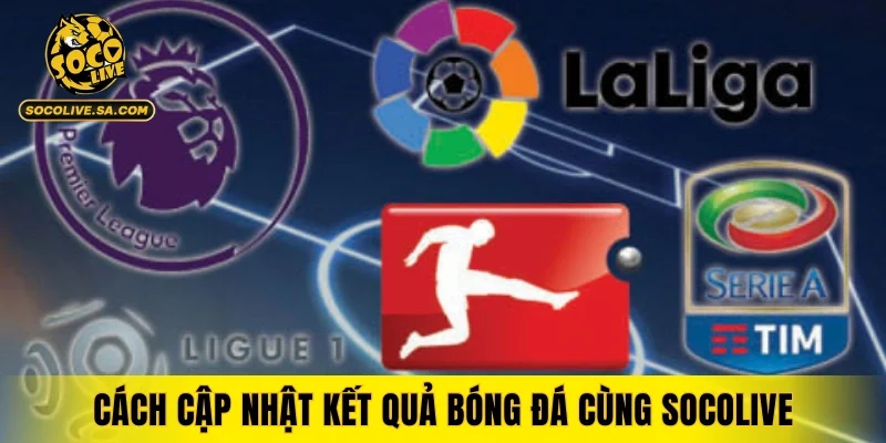 Cách cập nhật kết quả bóng đá cùng SOCOLIVE