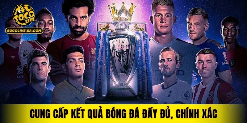 Cung cấp kết quả nhanh chóng, rõ ràng và đáng tin cậy