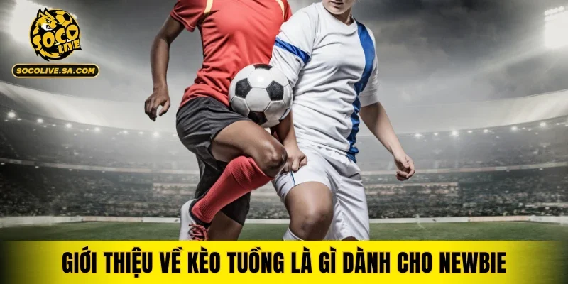 Giới thiệu về kèo tuồng là gì dành cho newbie khi tham gia