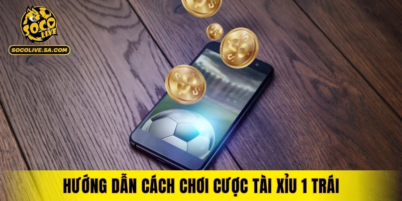 Hướng dẫn cách chơi cược tài xỉu 1 trái
