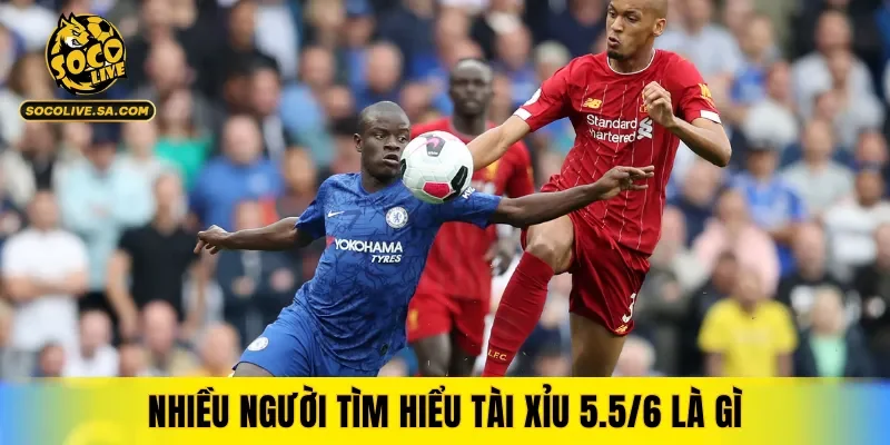 Nhiều người đang tìm hiểu thông tin tài xỉu 5.5/6 là gì