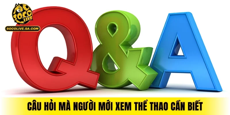 Những câu hỏi thường gặp mà người mới xem thể thao cần biết