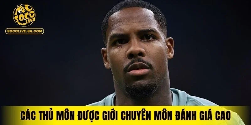 Những người gác đền đang tỏa sáng tại các giải đấu lớn