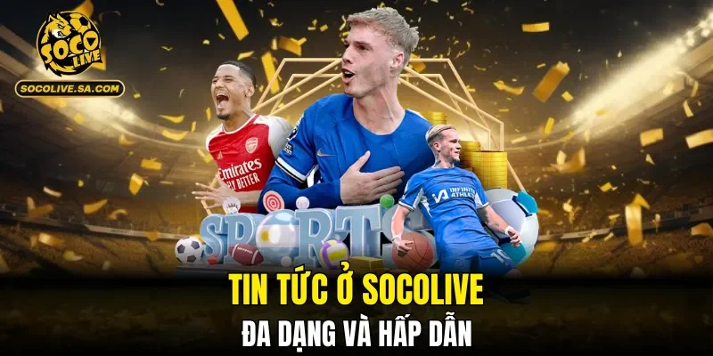 Tin tức ở SOCOLIVE đa dạng và hấp dẫn