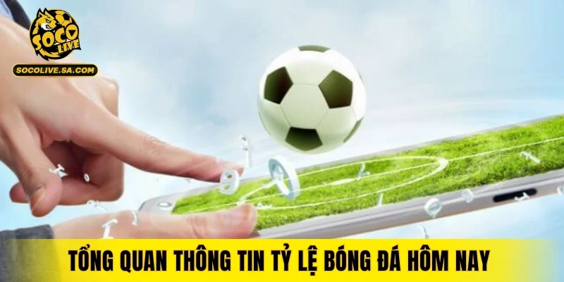 Tổng quan thông tin tỷ lệ bóng đá hôm nay
