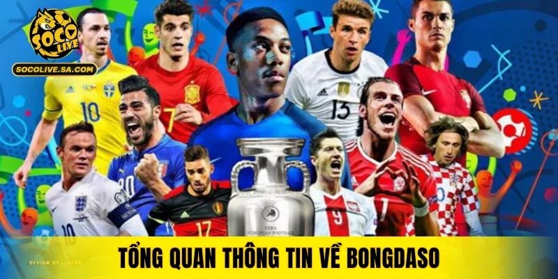 Tổng quan thông tin về Bongdaso