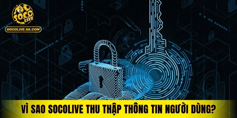 Vì sao chính sách bảo mật Socolive thu thập thông tin người dùng?